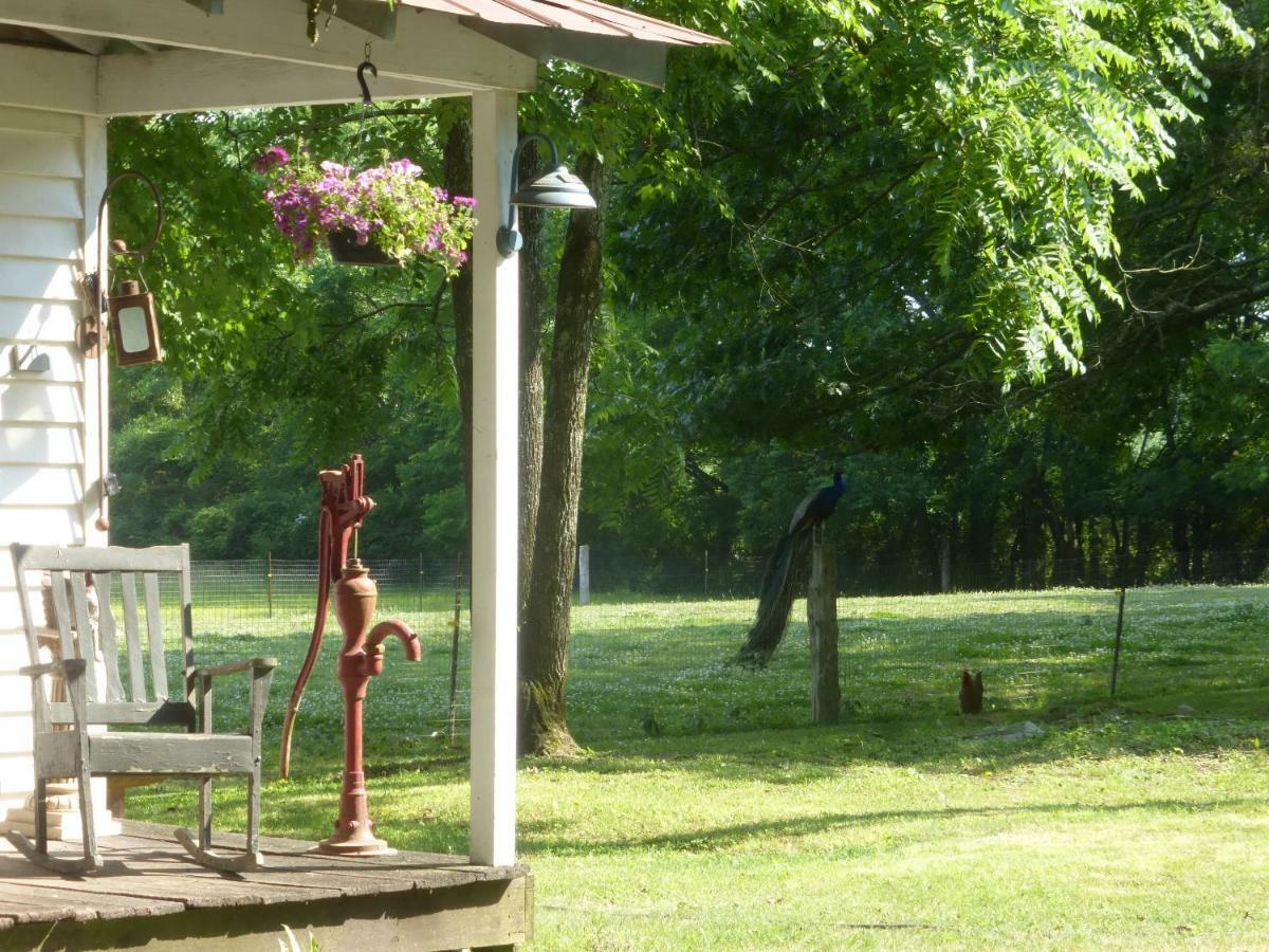 Mulberry Lavender Farm And B&B Exteriör bild