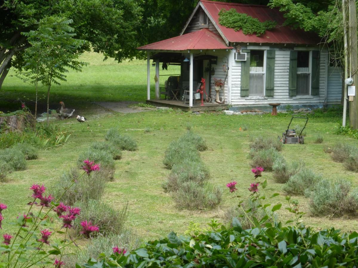Mulberry Lavender Farm And B&B Exteriör bild
